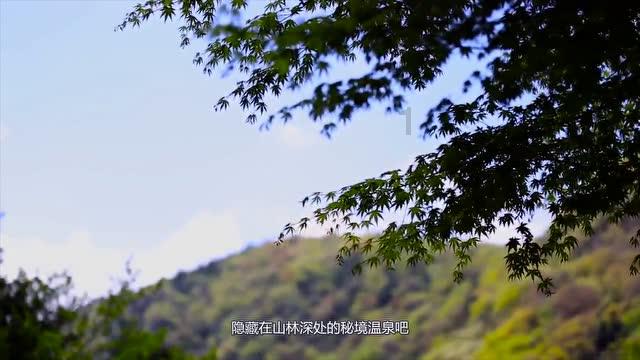 可疑的情况